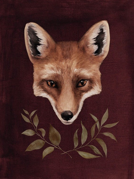 Red Fox Plagát 0
