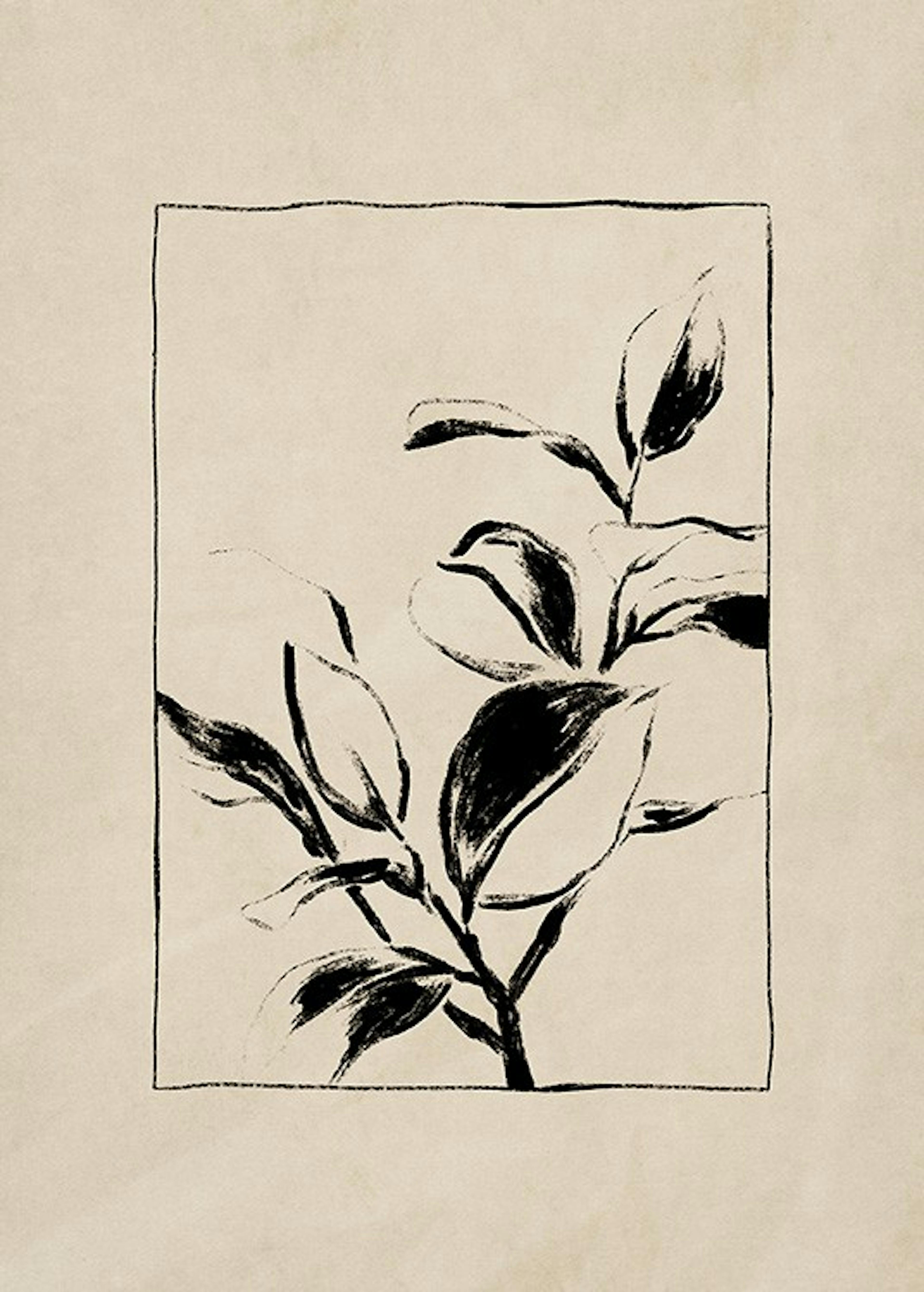 Botany Plakat 0