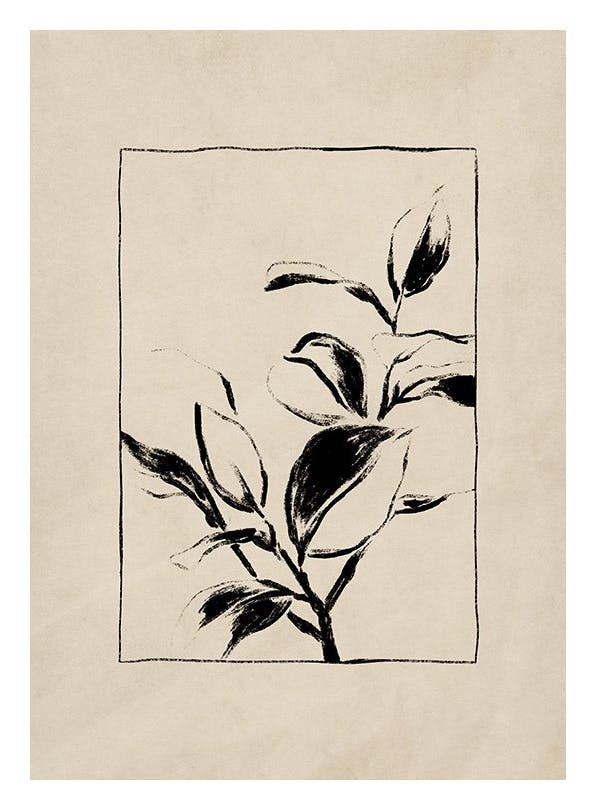 Botany Poster (50x70 cm)