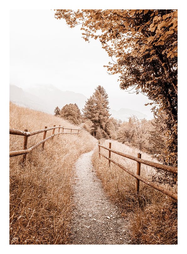 Path to Home Plakat (30x40 cm)- Fotografia