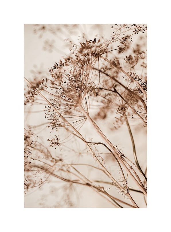 Dried Flourish Poster (50x70 cm)