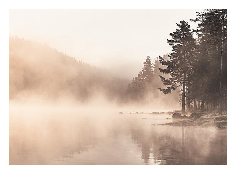 Fog Lake Plakat (30x40 cm)-Plakaty