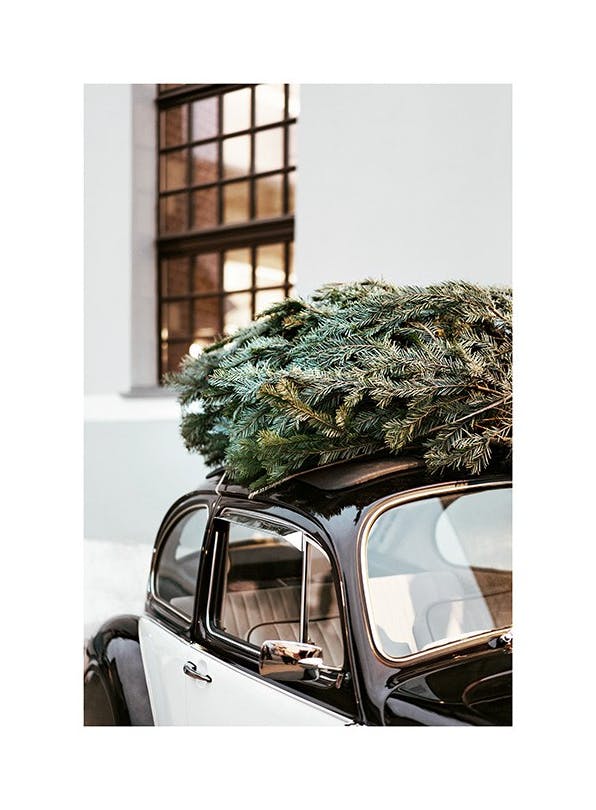 Holiday Ride Poster (40x50 cm) -  Jahreszeiten