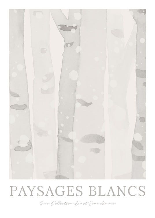 Birch Forest Poster 0