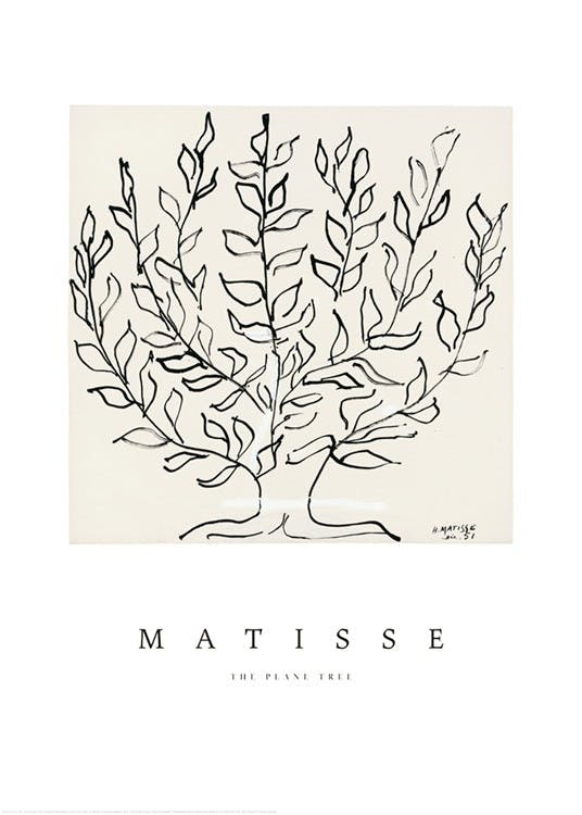 Matisse - The Plane Tree Plagát 0