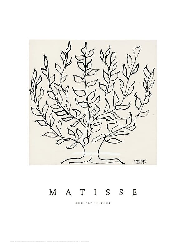 Matisse - The Plane Tree Plakat (50x70 cm)- Plakaty w stylu Matisse'a