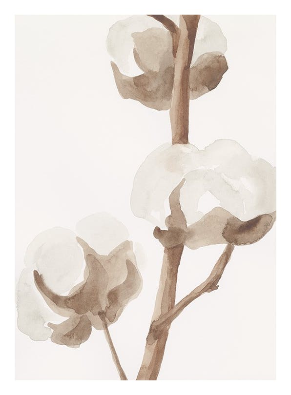 Aquarelle Cotton Flowers Plakat (21x30 cm)- Obrazy akwarelowe