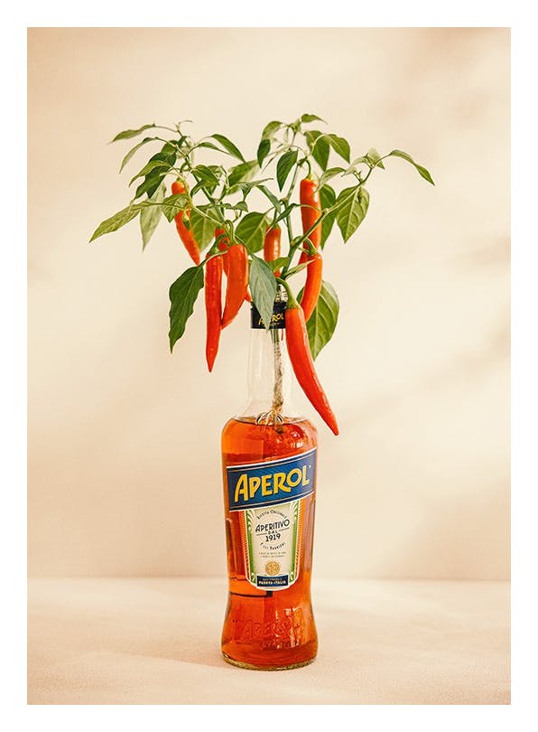 Prints - Aperol Chili Print (50x70 cm) - Wine and cocktails posters