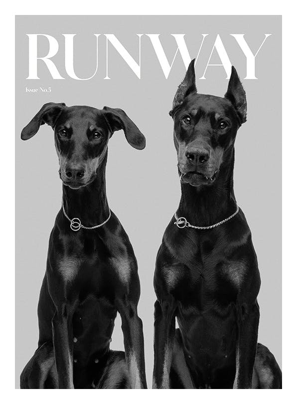 Prints - Runway Dogs Print (30x40 cm) - Fashion posters