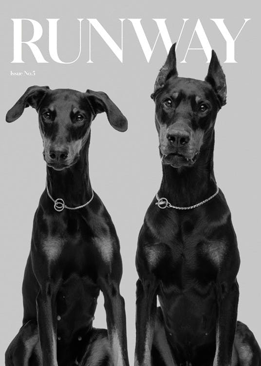 Runway Dogs Poster 0