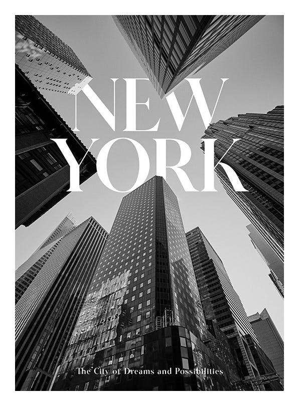 New York Sky Poster (30x40 cm)