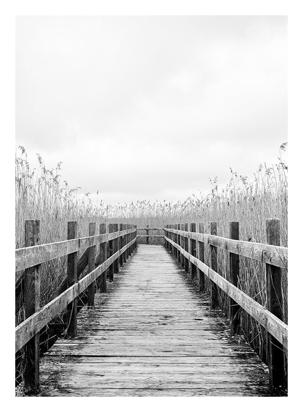 Monochrome Path Plakat (50x70 cm)- Czarno-białe zdjęcia