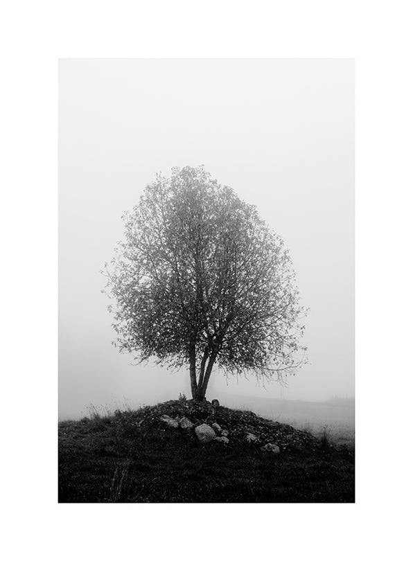 Peaceful Tree Plakat (30x40 cm)- Czarno-białe zdjęcia