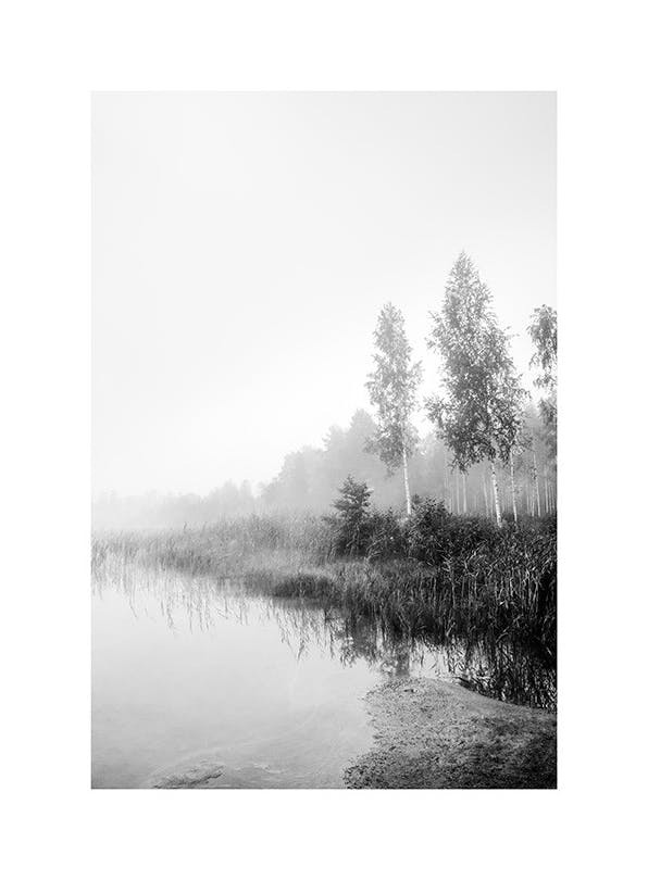 Monochrome Mist Plakat (50x70 cm)- Czarno-białe zdjęcia