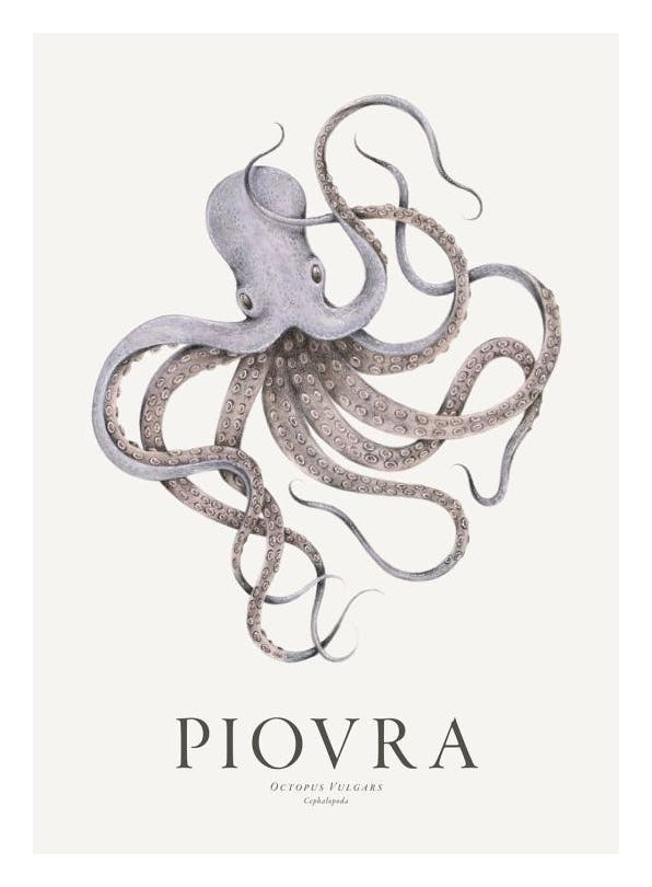 Piovra Print (30x40 cm)