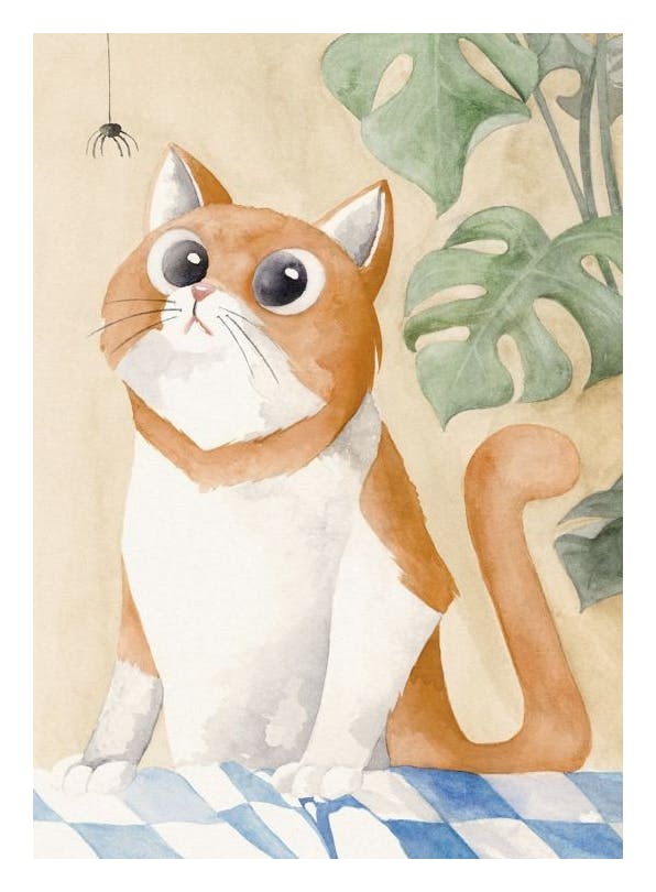 Curious Cat Poster (50x70 cm) - Poster