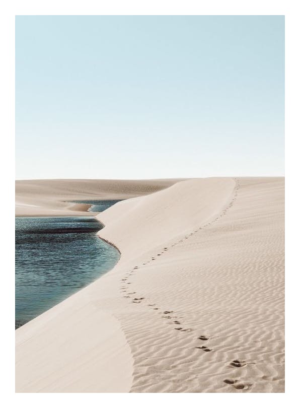 Footsteps on Dunes Affiche (50x70 cm) - Affiches nature