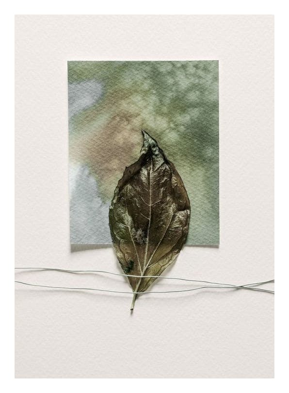 Art of Leaf Poster (30x40 cm)