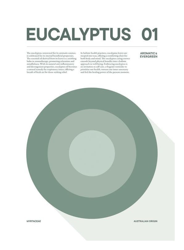 Graphical Eucalyptus Poster (50x70 cm)