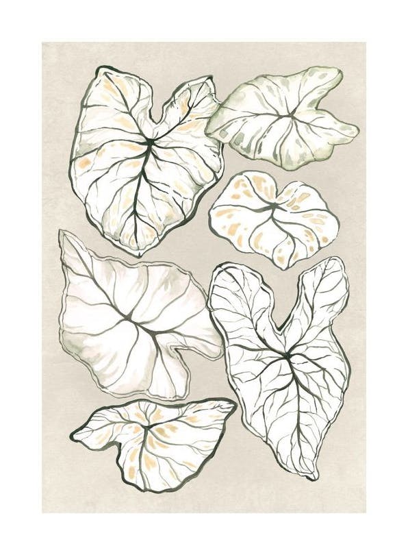 Prints - Caladium in Beige Print (50x70 cm) - Botanical prints