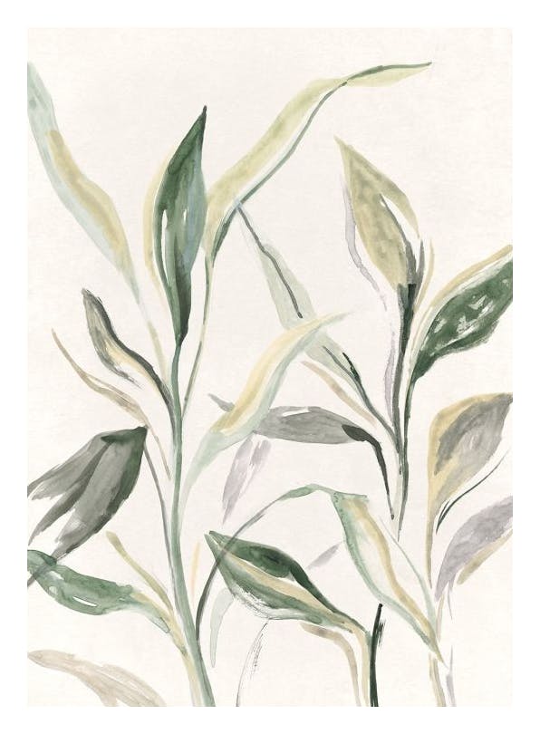 Painted Plant Print (30x40 cm)