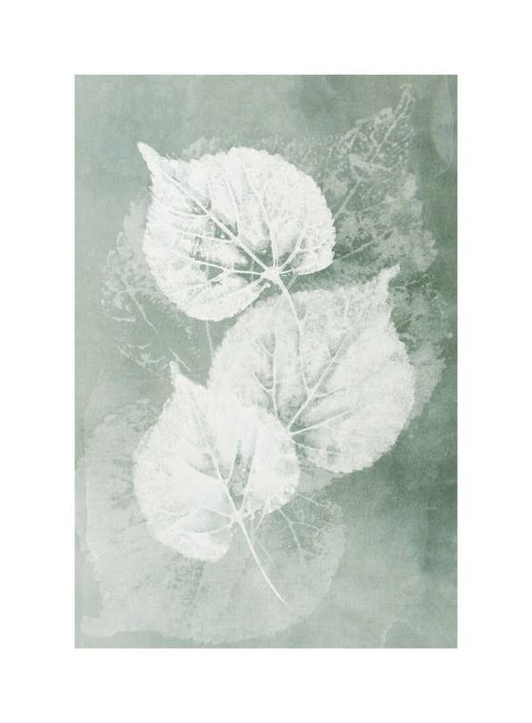 Pressed Leaves Poster (50x70 cm)- Arte botânica