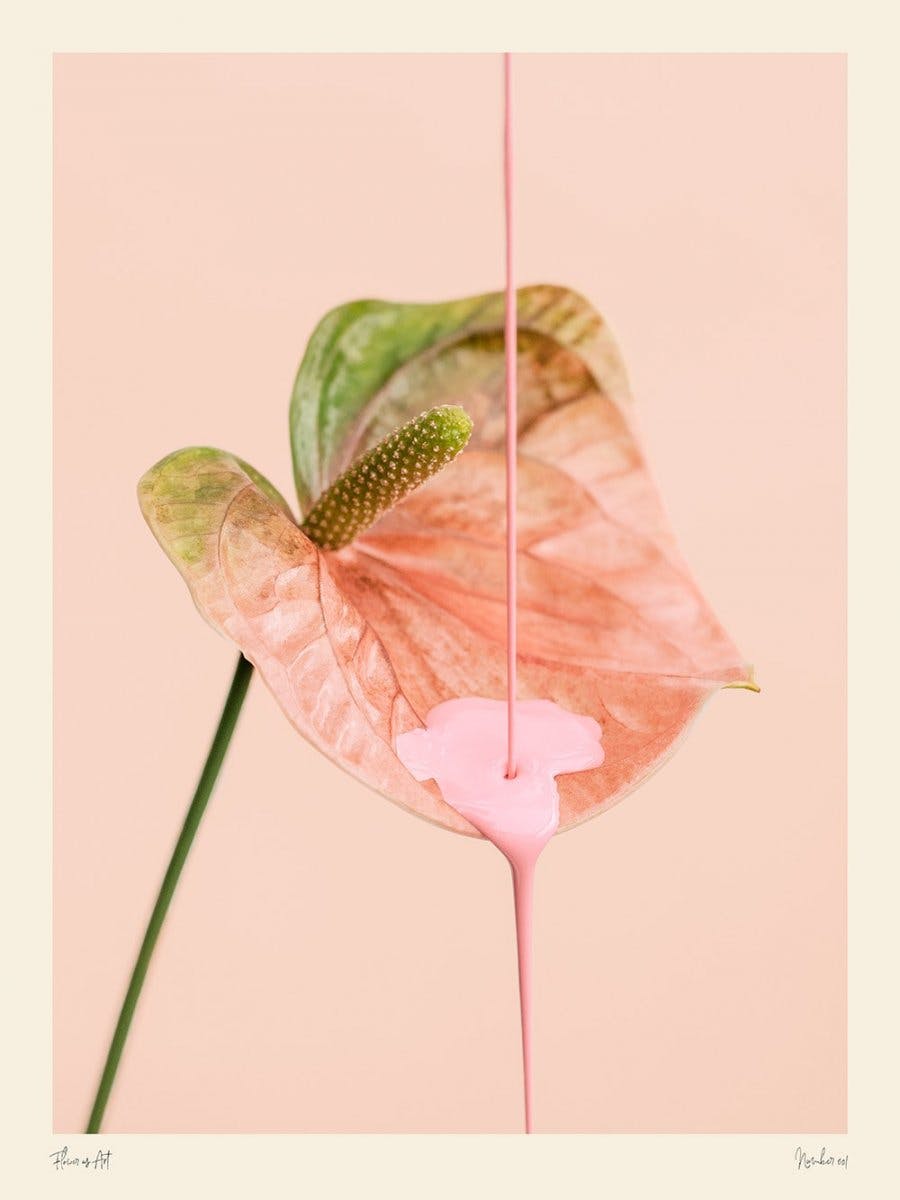 Flower as Art Plakat 0