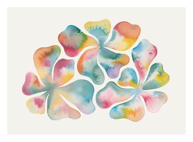 Watercolor Flowers Plakat (50x70 cm)- Obrazy akwarelowe
