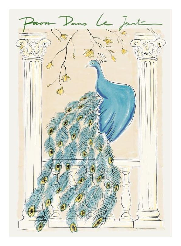Peacock in the Garden Poster (50x70 cm) - Illustraties