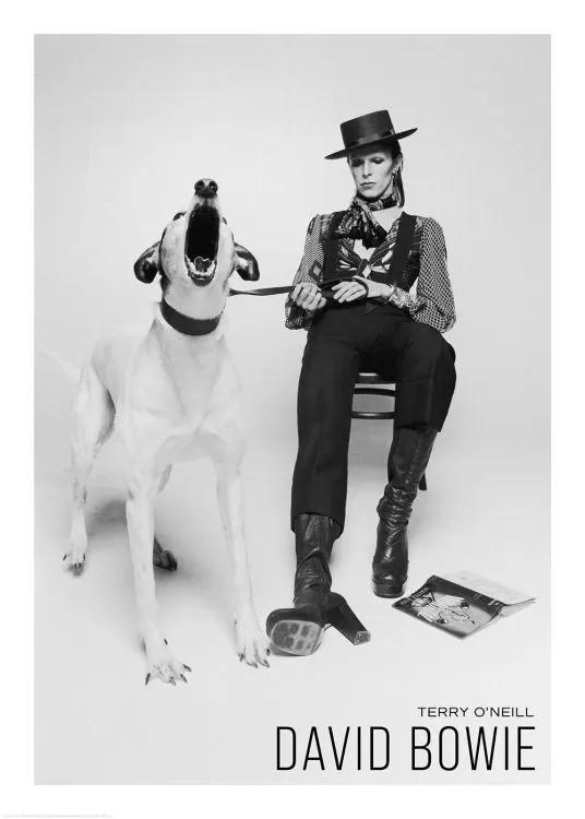 Terry O'Neill - David Bowie Plakát 0