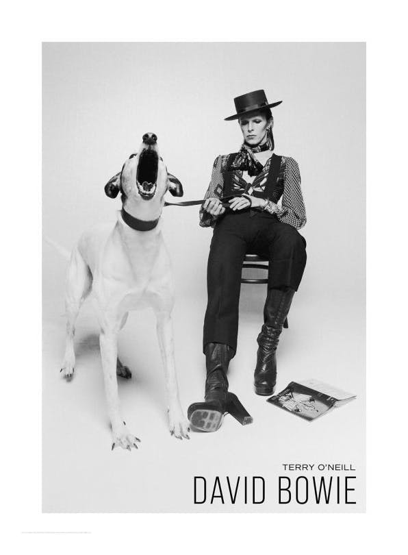 Terry O'Neill - David Bowie Plakat (50x70 cm)- Terry O´Neill