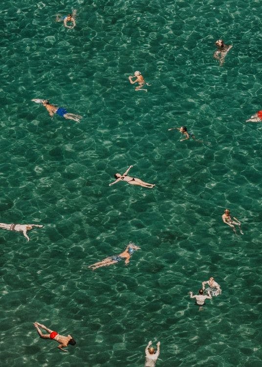 Mediterranean Mingle Print 0