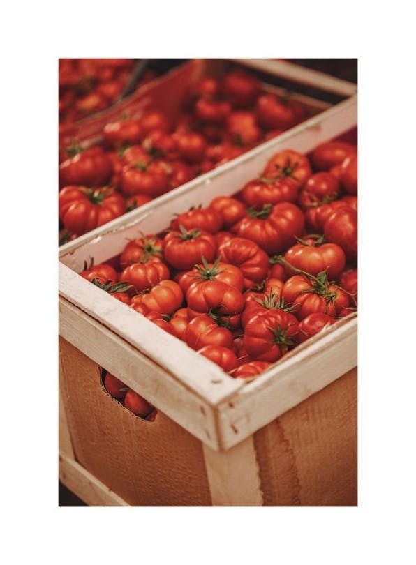 Prints - Pomodoro Passion Print (50x70 cm) - The Amalfi Lifestyle