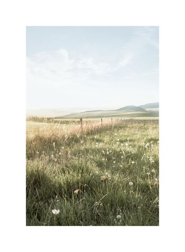 Field Sunset Poster (30x40 cm) - Natuur posters