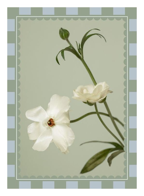 Checkered Flower No1 Affiche (21x30 cm) - Tableaux de fleurs