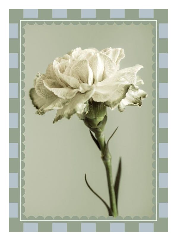 Checkered Flower No2 Poster (30x40 cm) - Bloemen