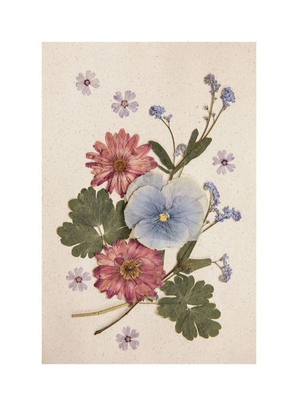 Pressed Blossom Plakat (21x30 cm)- Plakaty z kwiatami
