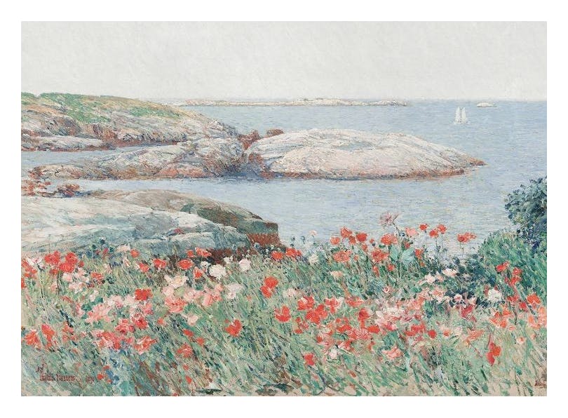 Frederick Childe Hassam - Poppies on the Isles of Shoals Print (50x70 cm)