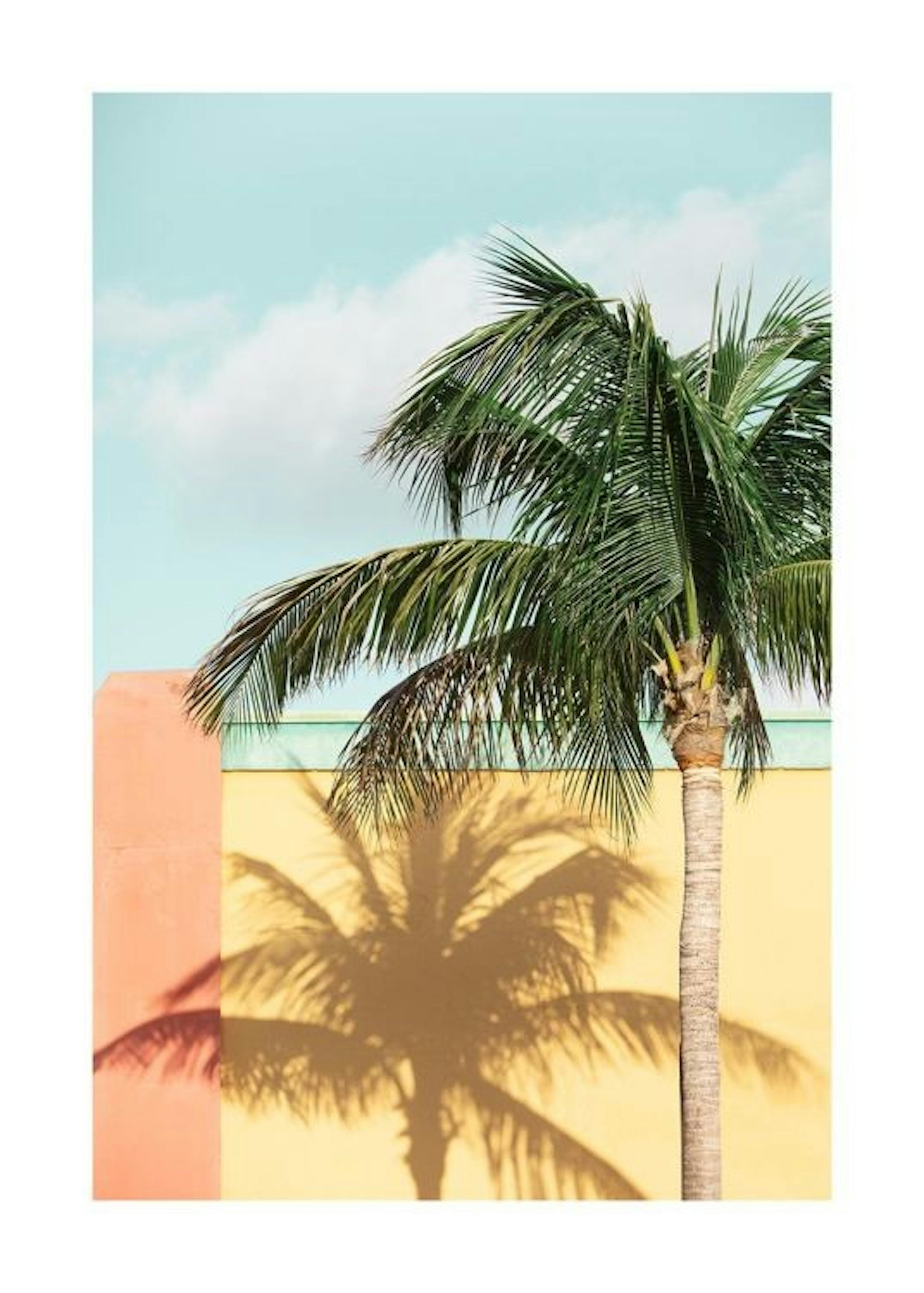 Sun-drenched Palm Juliste 0