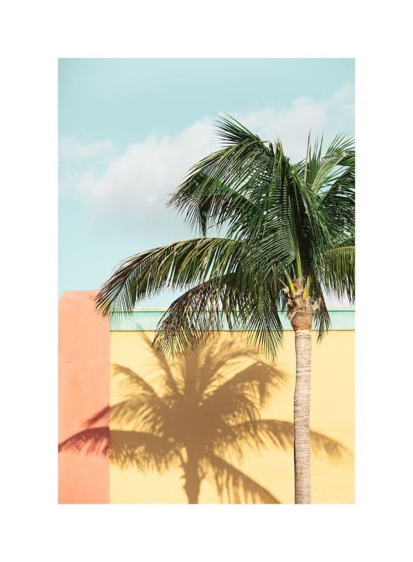 Prints - Sun-drenched Palm Print (30x40 cm) - Palm prints