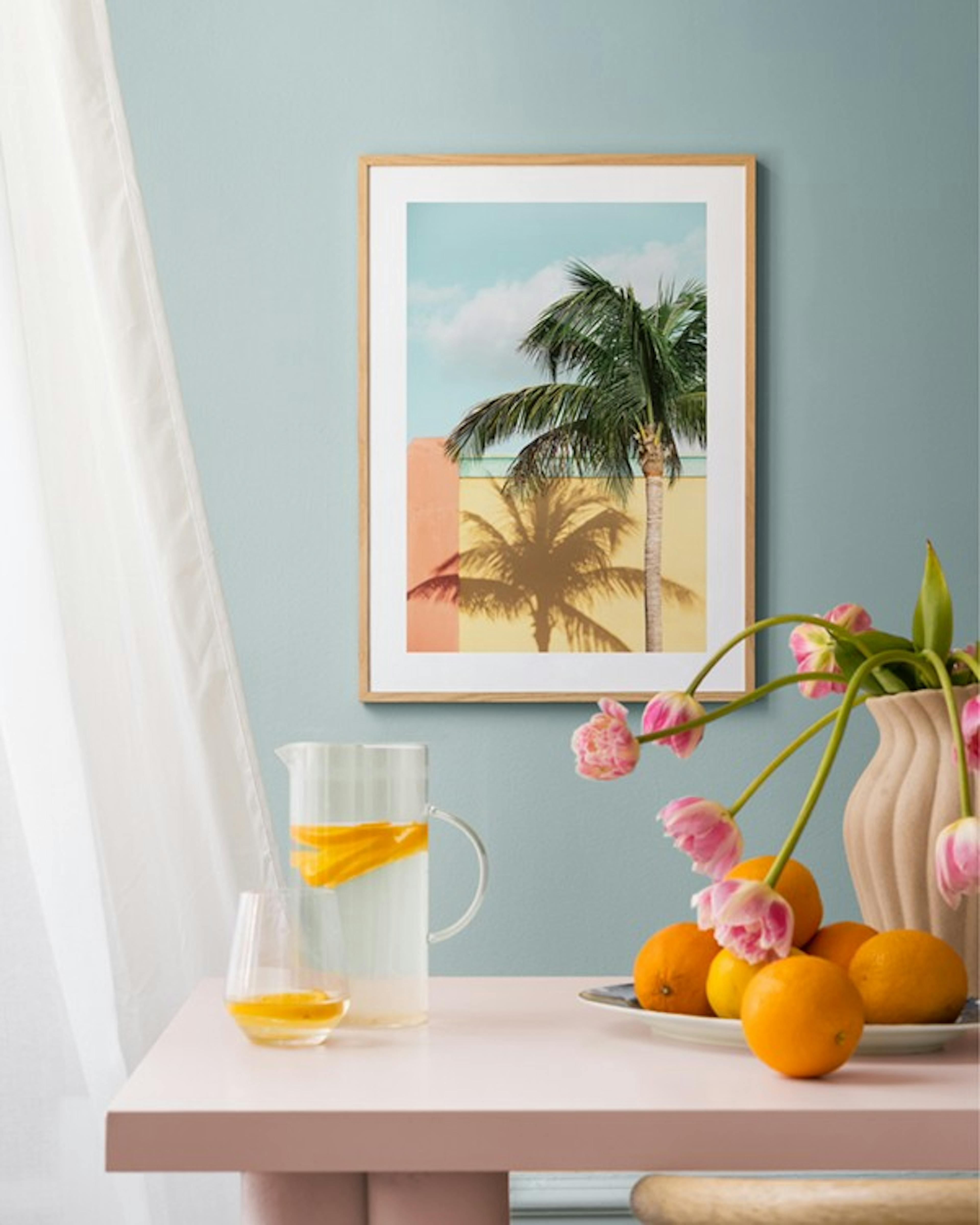 Sun-drenched Palm Poster