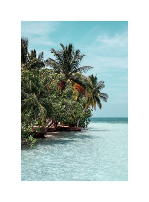 The Tropics Plakat (30x40 cm)-Plakaty