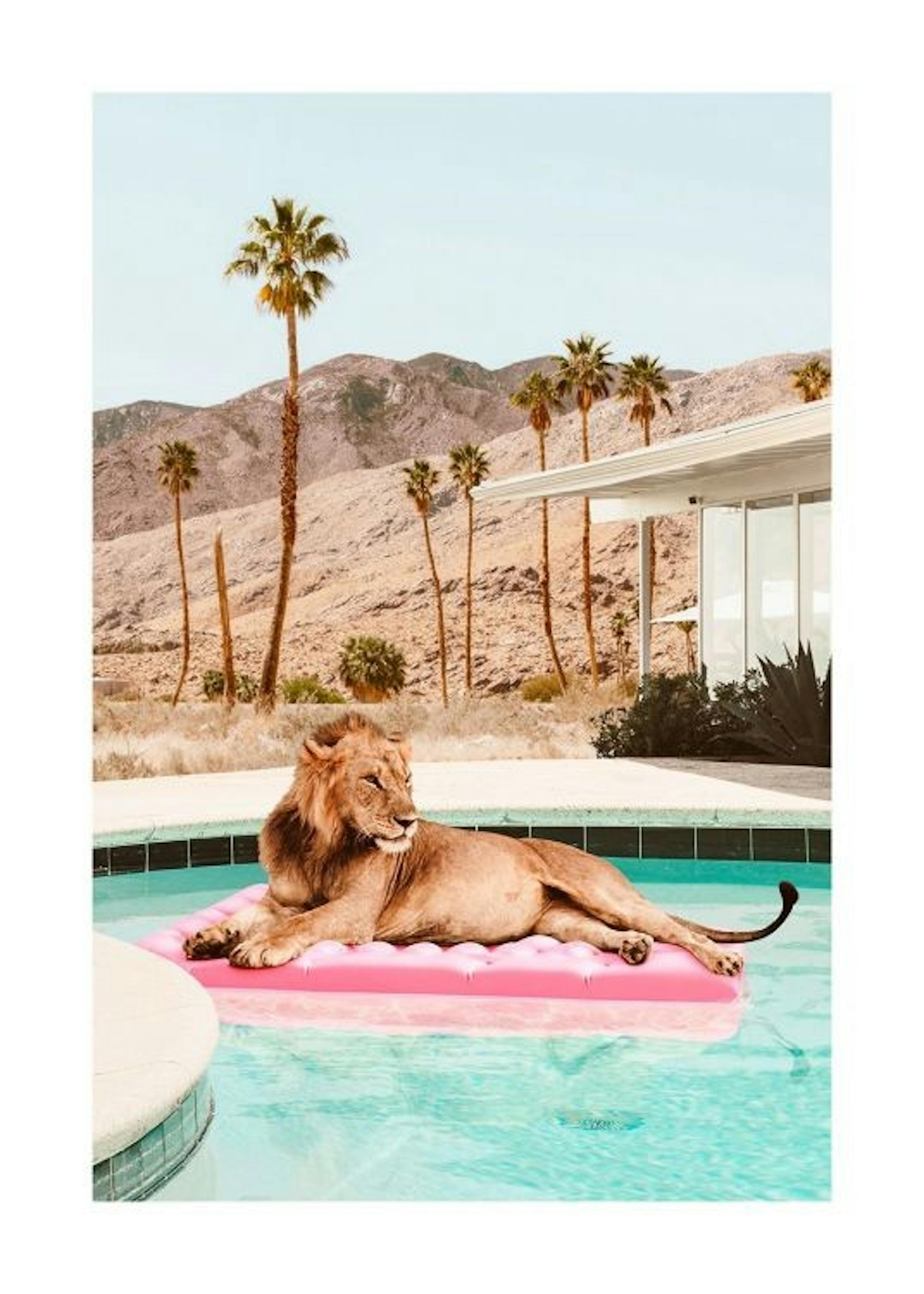 Sunbathing Lion Plakat 0