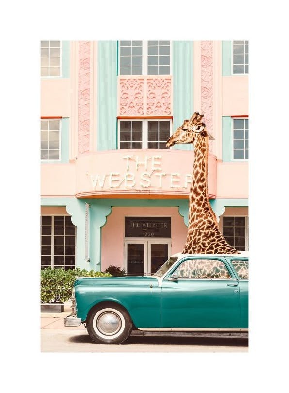Giraffe Parking Poster (50x70 cm) - Fotokunst