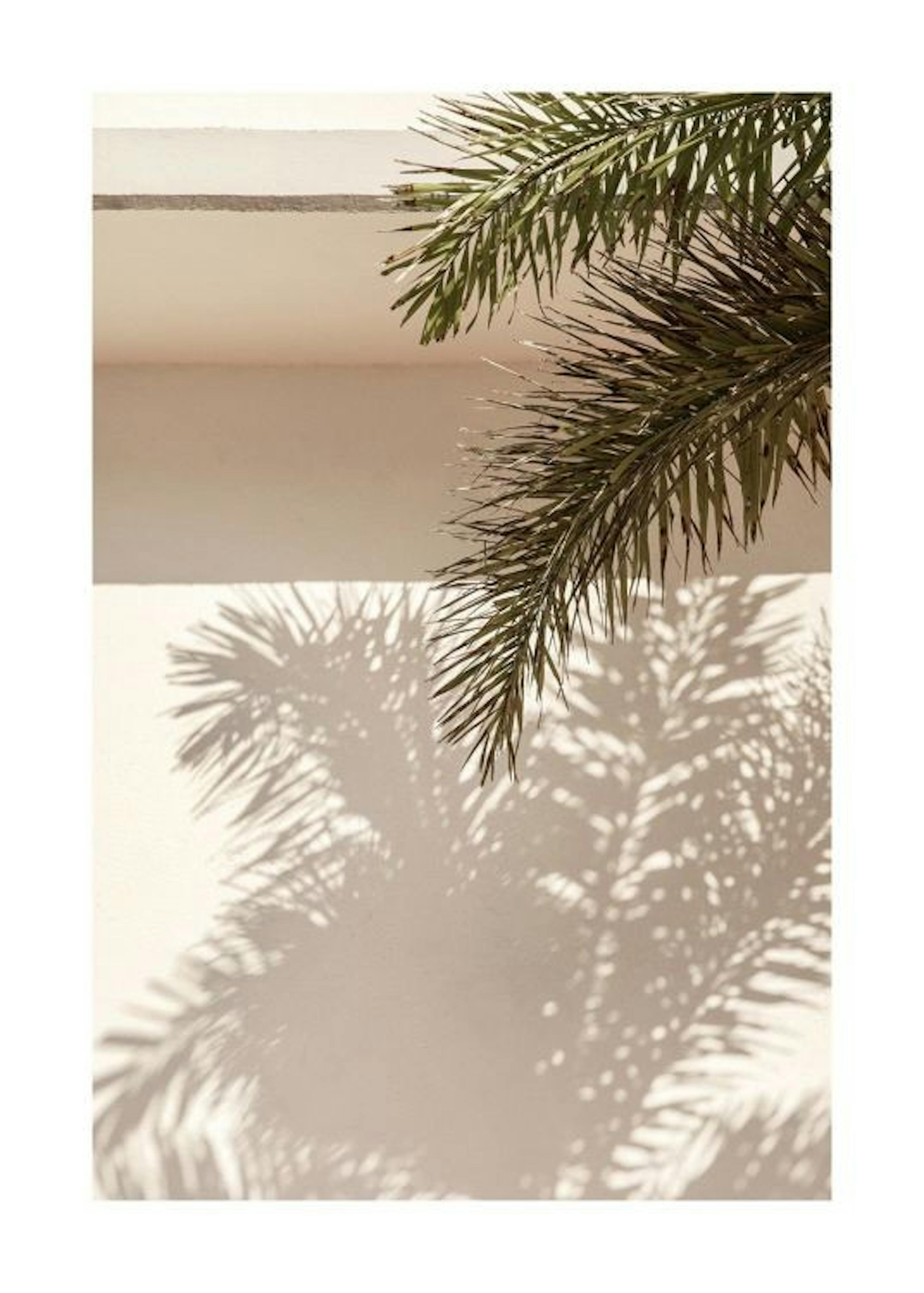 Palm Leaf Shadows Affiche 0
