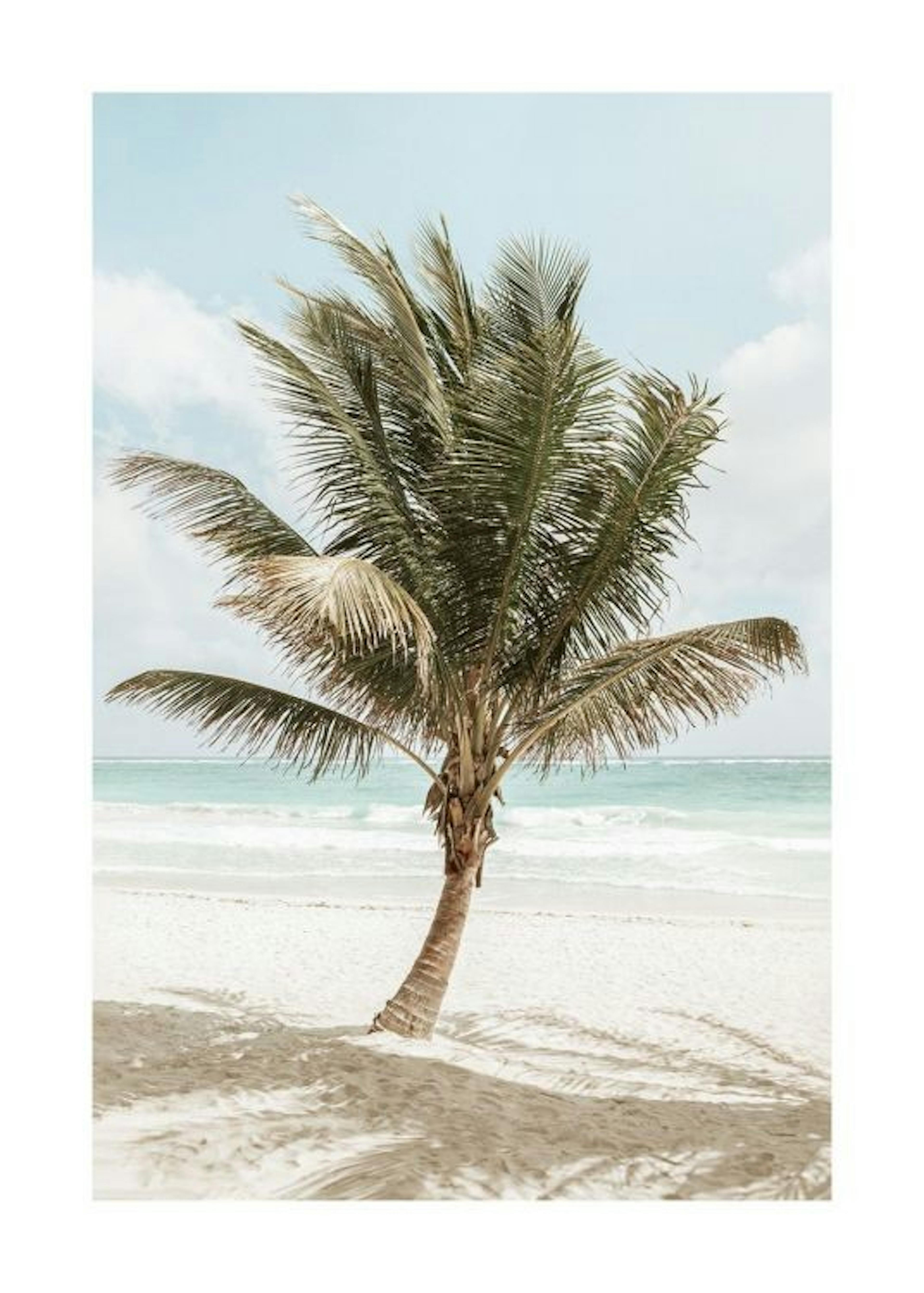 Palm in the Breeze Plakát 0
