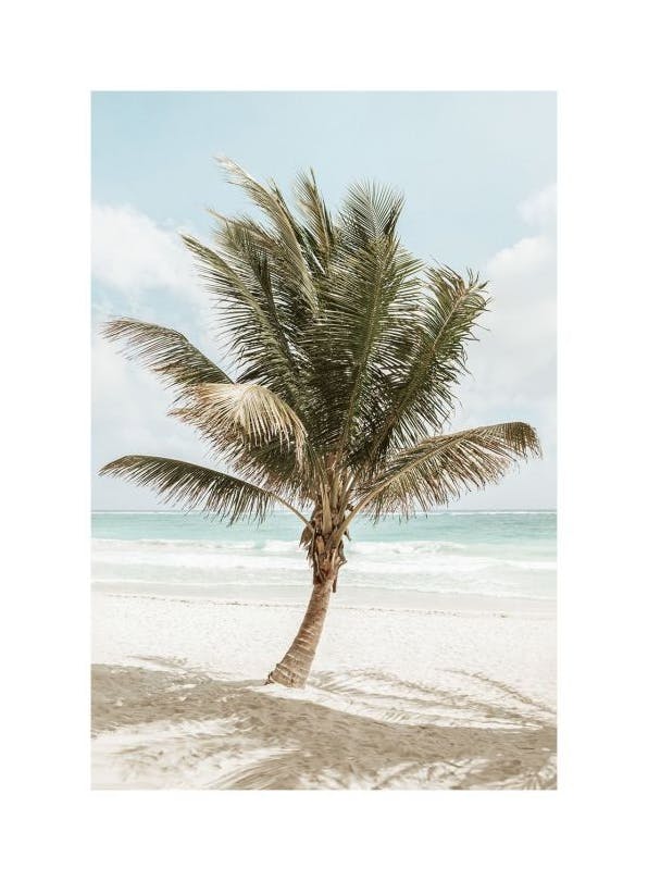 Prints - Palm in the Breeze Print (30x40 cm) - Palm prints