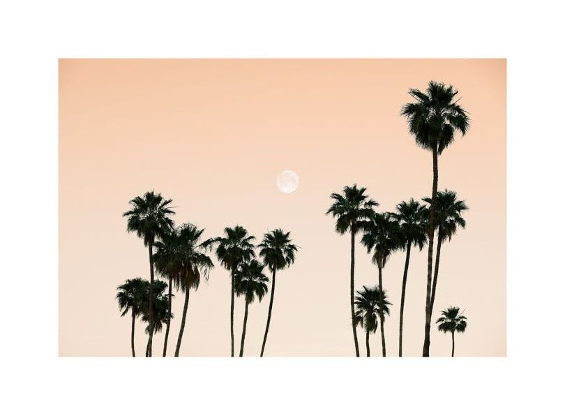 Prints - Palms in the Sky Print (30x40 cm) - Palm prints