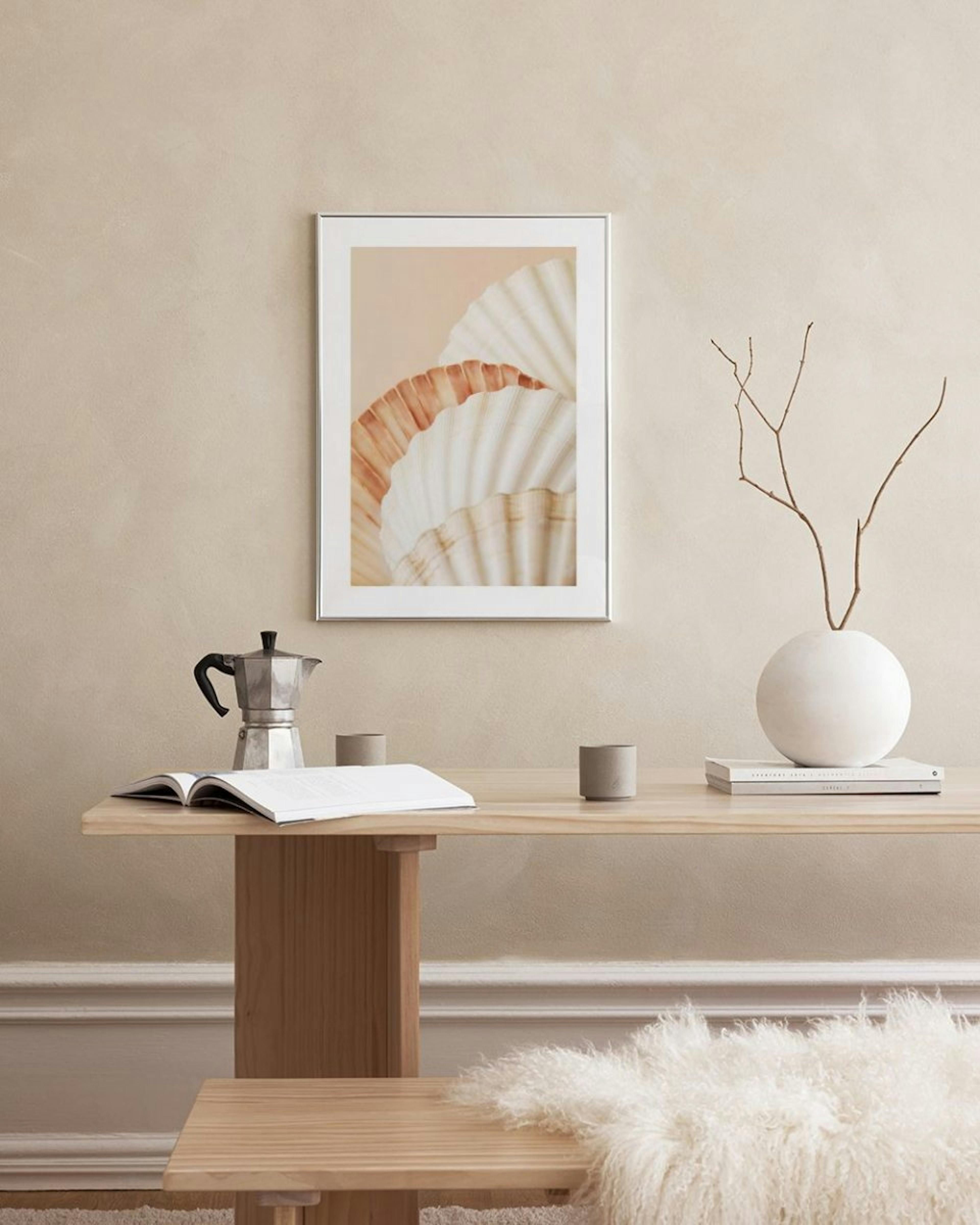 Shell Collection Poster