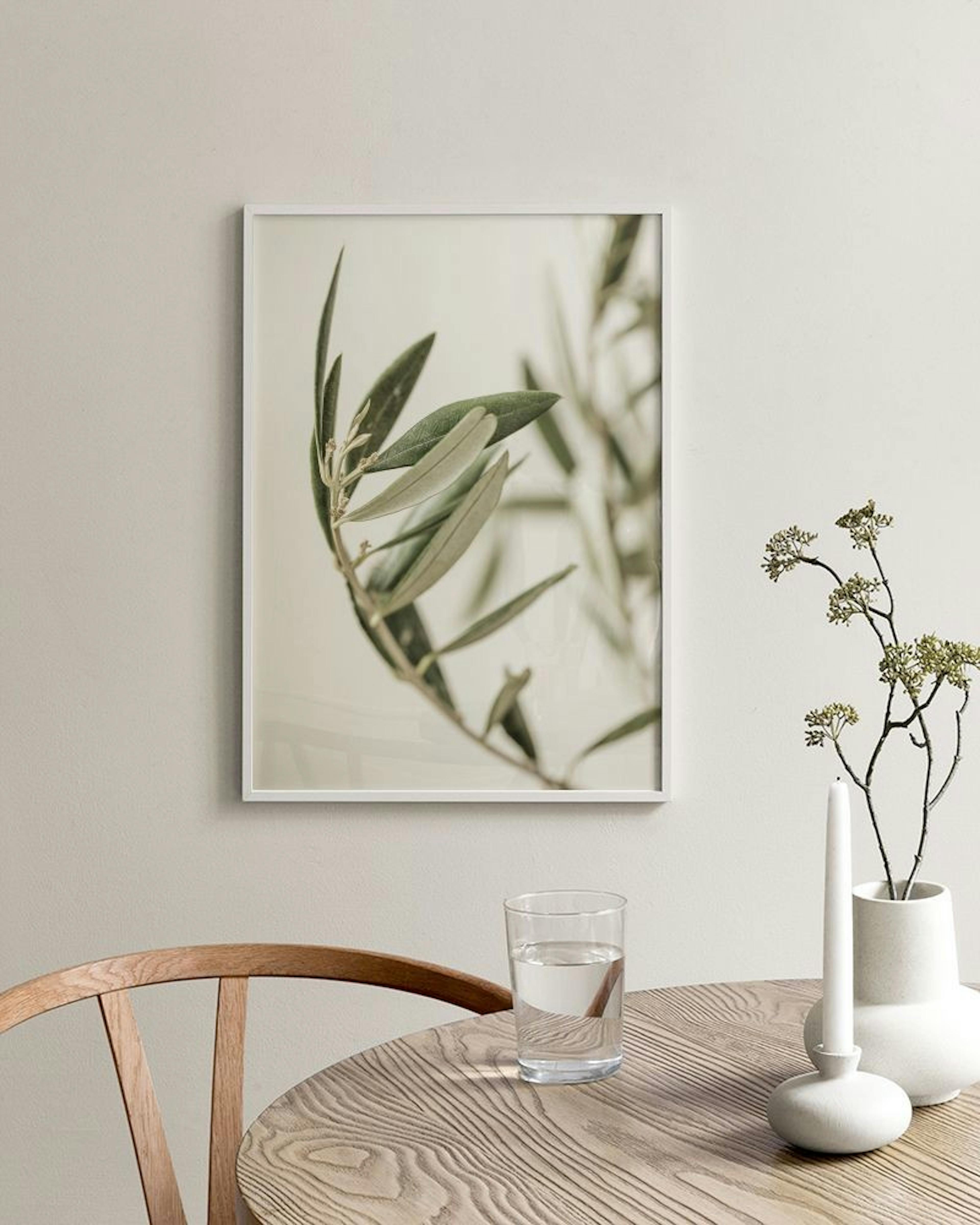 Branch of an Olive Print